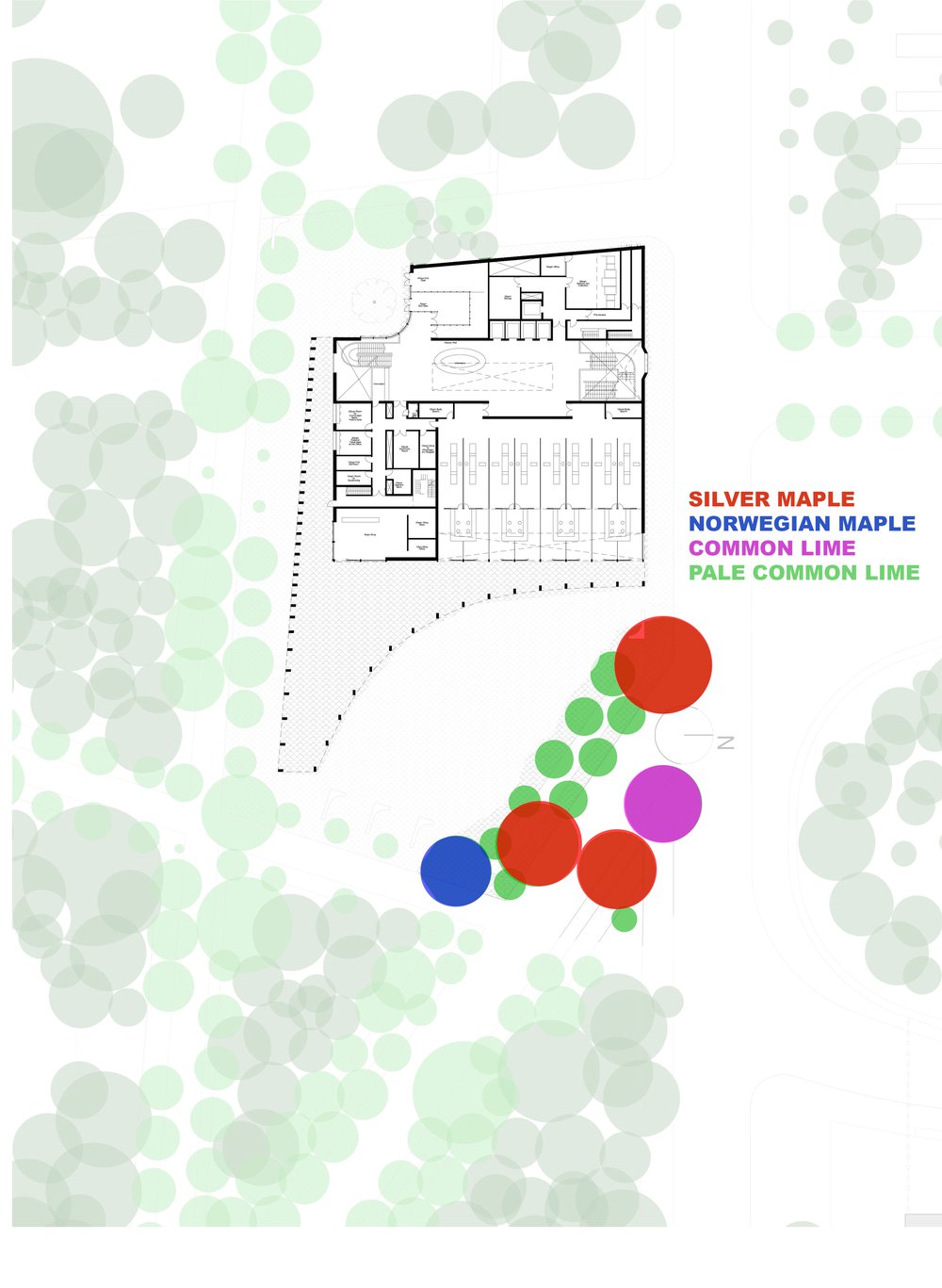 Berlin_Bundestag_Competition_Collages_tree-varieties-2.jpg